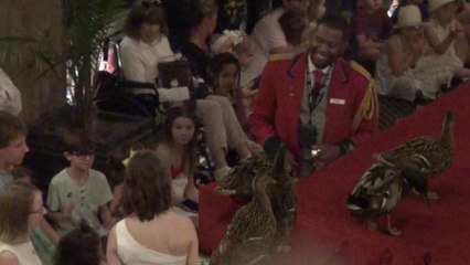 Memphis Tour 6, Peabody Duck March, Civil Rights Movements, Arrival from Nashville,USACan23.034, 18 Jun 23