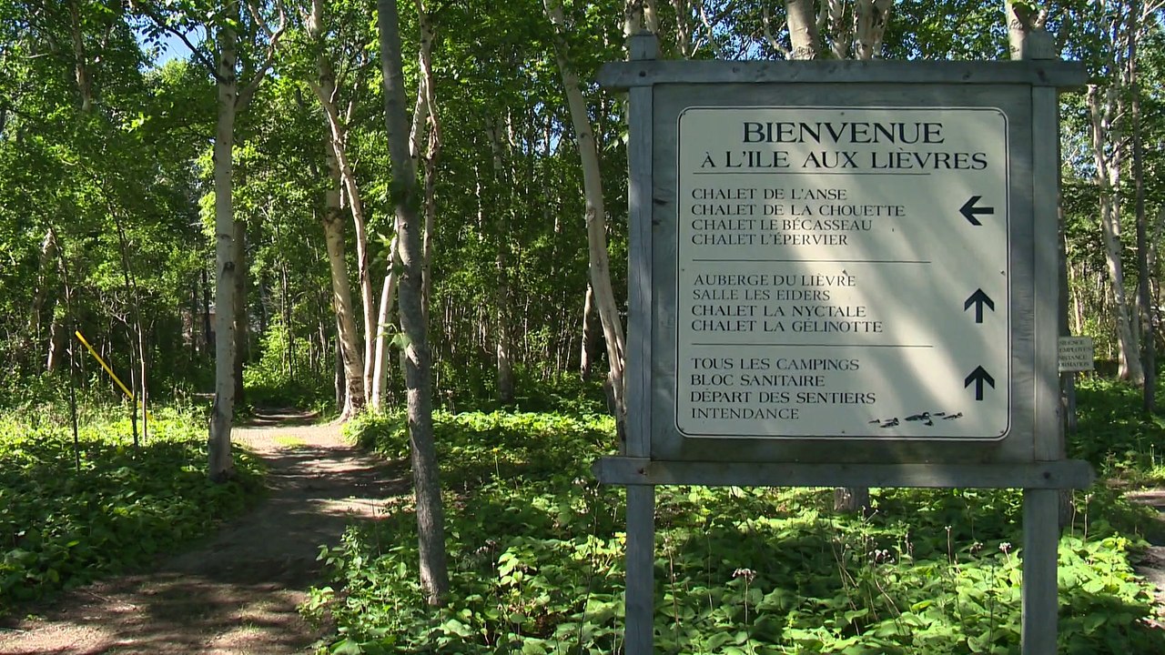 L’île aux Lièvres : un coup de foudre pour Sophie Thibault