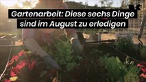 Gartenarbeit: Diese sechs Dinge sind im August zu erledigen