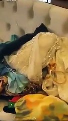 أجدد عمايل مروج الرحيلي