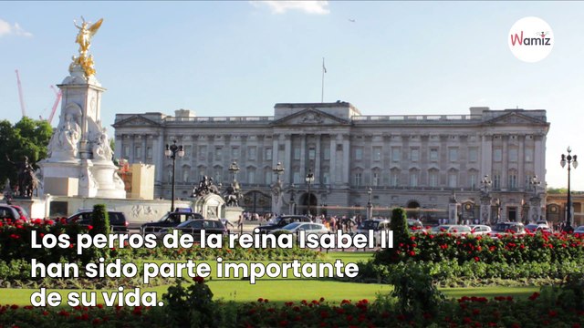 Isabel II, la historia de su vida a través de sus perros