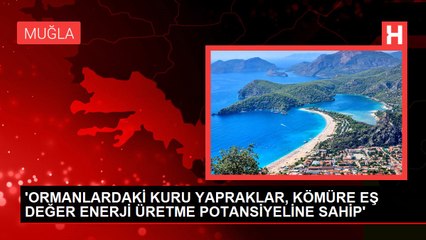 'ORMANLARDAKİ KURU YAPRAKLAR, KÖMÜRE EŞ DEĞER ENERJİ ÜRETME POTANSİYELİNE SAHİP'