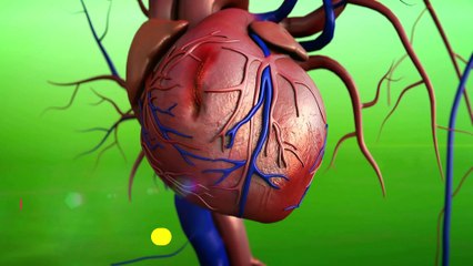 Transform Your Body 30-Day Fitness Challenge for Beginners