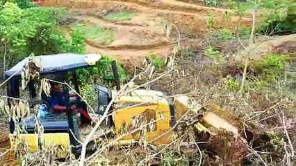 Changing the Landscape of the Caterpillar D5K XL Mountains Creating Terraces on Plantations