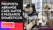 Alesp aprova lei que proíbe a venda de animais em pet shops e sites