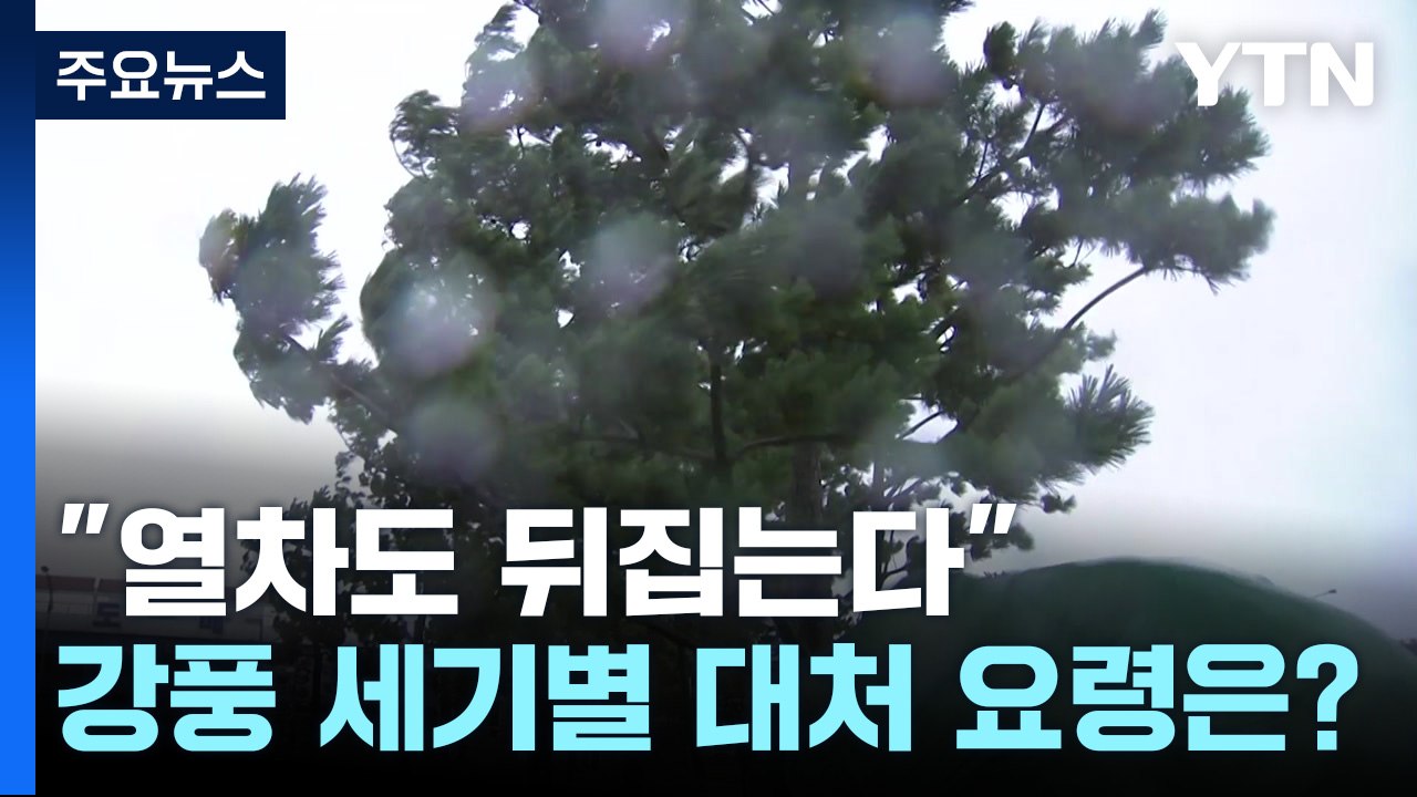 "달리는 열차도 전복시킨다"...강풍 세기별 위력과 대처 요령은? / YTN