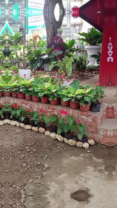 LOVE is like Life of Beautiful Flowers  at Titay Plaza.