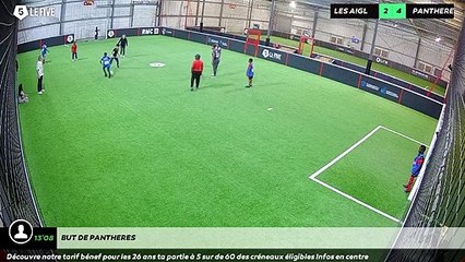 But de PANTHERES