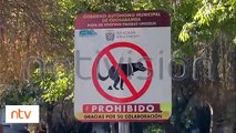 ¿Y qué hacer con la popó de tu mascota? Rige una nueva normativa en Cochabamba