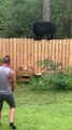 Un homme et son Yorkie rencontrent un ours noir dans leur jardin