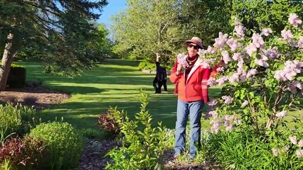 Phool Ban Jaunga Shart Yeh Hai by chitralekha Dixit