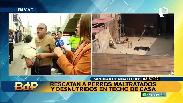 Rescatan a perros maltratados y desnutridos en el techo de una vivienda en SJM