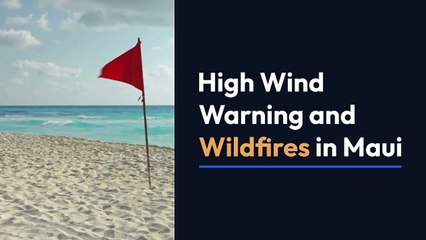 High wind warning Secrets