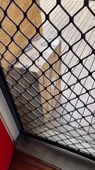 Poorly Placed Package Prevents Door Opening