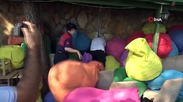 Alevlerin arasından yavru kediler böyle kurtarıldı