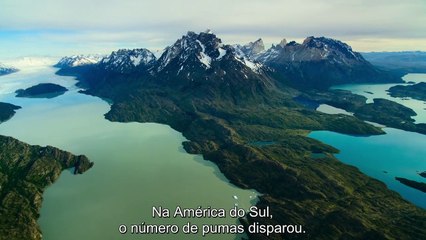 Os Grandes Predadores- Temporada 1 - Trailer Legendado Netflix