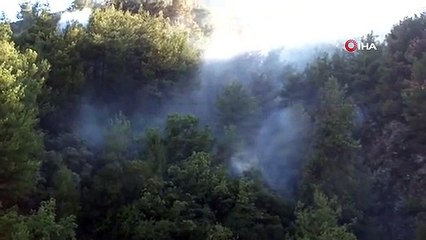 Incendie de forêt à Hatay sous contrôle