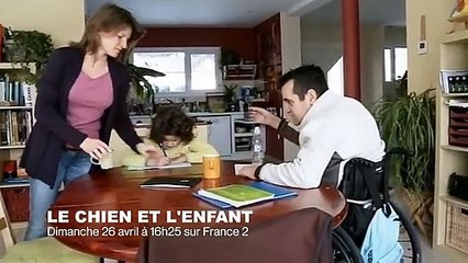 Un chien sauve un enfant malade - ZAPPING SAUVAGE