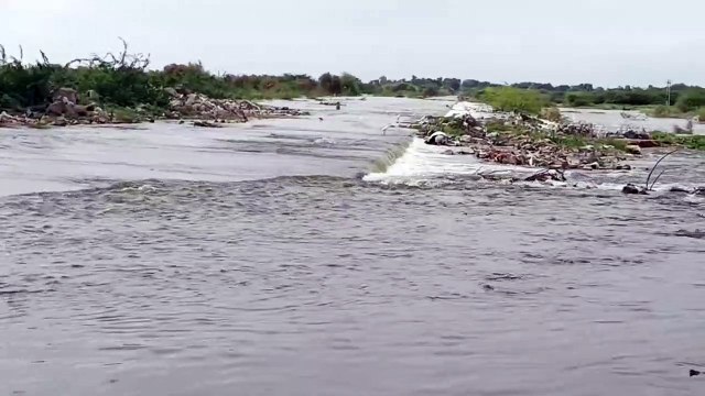 Luni River: Balotra: Barmer: बारिश ना नदियां उफान पर फिर भी डेढ़ माह से रास्ते बंद, कारण यह