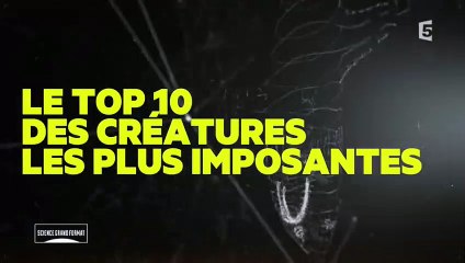 Top 10  créatures énormes - ZAPPING SAUVAGE