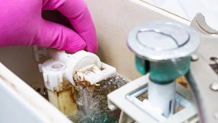 You’ve Probably Never Cleaned Your Toilet Tank—but You Really Should