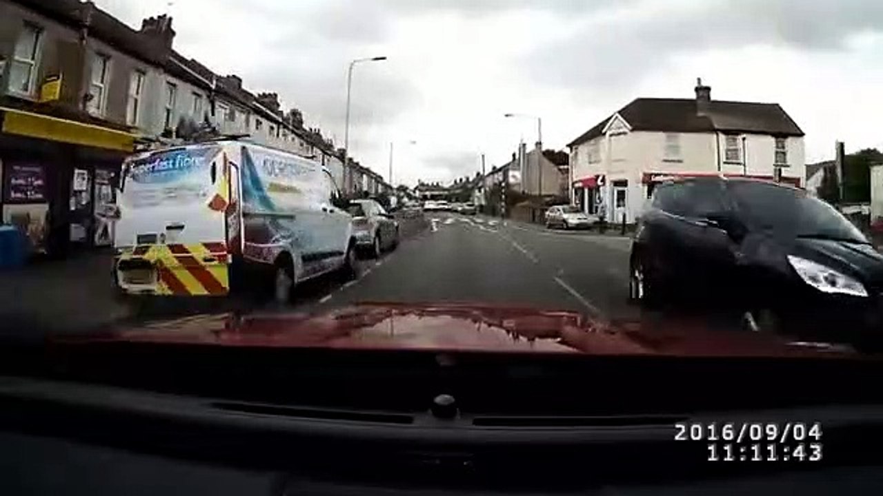 Safety minded cat uses pedestrian crossing on busy road