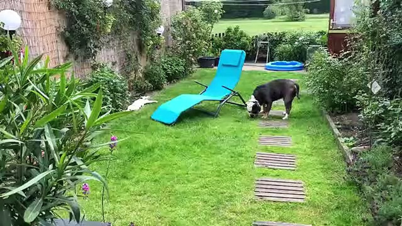 You'll never be as relaxed as this cat right here