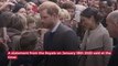 Prince Harry Loses Title: Change To Royal Family Website