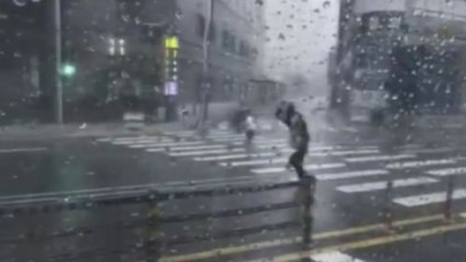 [제보영상] 우산 포기합니다...'강풍' 부산도 태풍 영향 / YTN