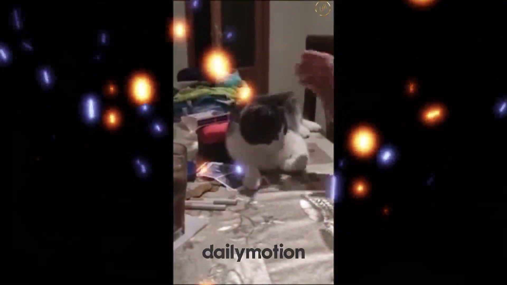 ⁣Funny Pets 2  Short