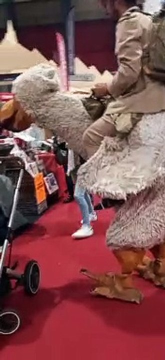 La Foire d'Automne Grenoble à Alpexpo   #France #foiredegrenoble #Alpexpo #foireexpo #foiredefrance  (79)