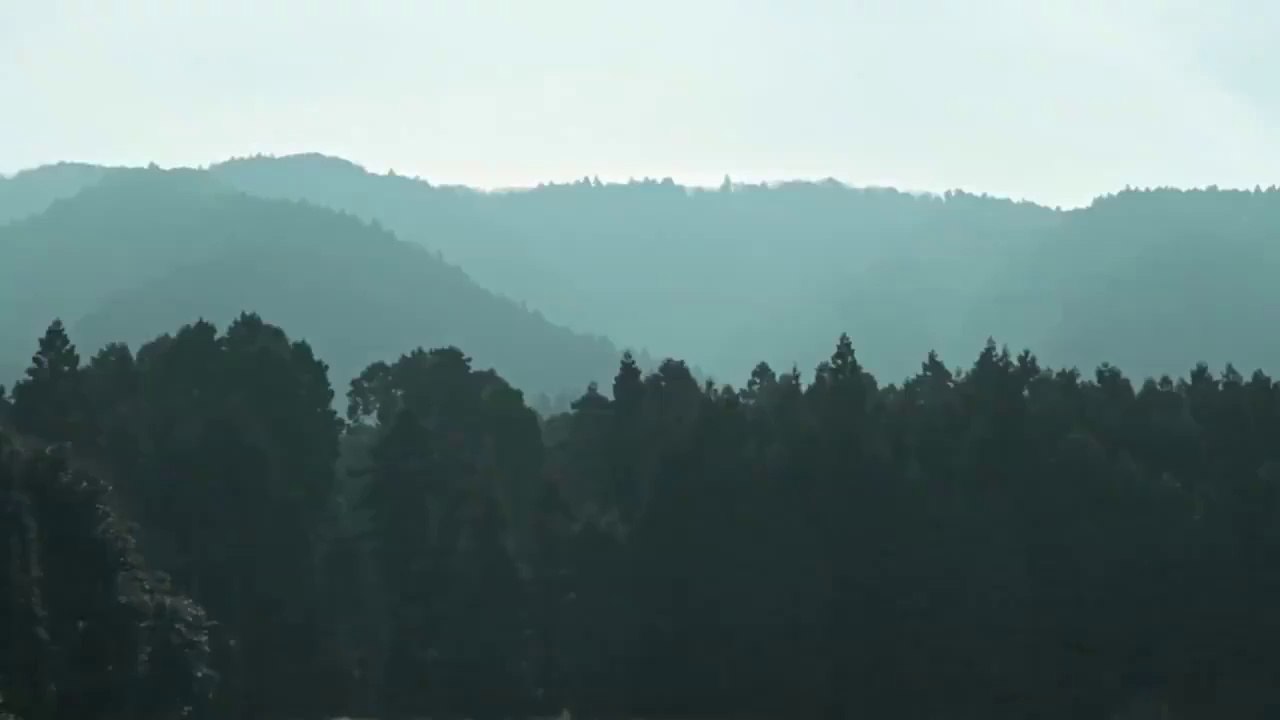 MUSIQUE DES BOIS. SOUND EFFECT. ASMR. Bruitage, Ambiance, Zen, Relaxation, Détente