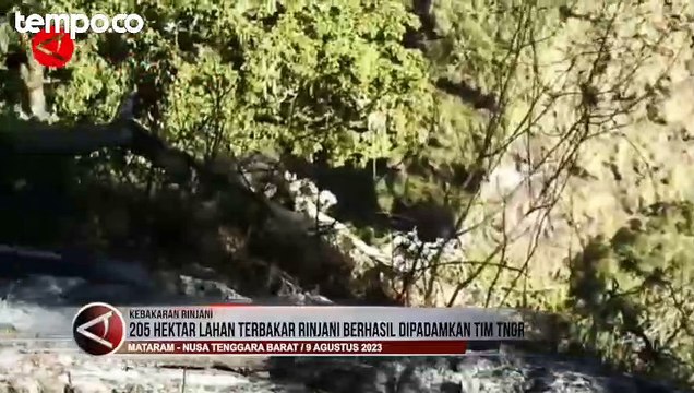 205 Hektar Lahan Terbakar di Gunung Rinjani Berhasil Dipadamkan