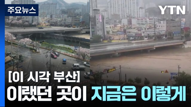 [제보영상] 물에 다 잠겨 버린 부산 동래구 온천천 / YTN