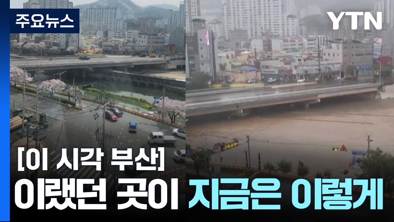 [제보영상] 물에 다 잠겨 버린 부산 동래구 온천천 / YTN