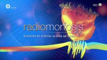 La evolución de la radio y las formas de consumir productos sonoros el tema de RadioMorfosis