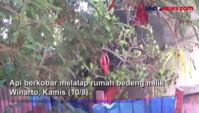 Rumah Bedeng di Tengah Hutan Mangrove Denpasar Dilalap Api, Uang Tunai Rp30 Juta Hangus