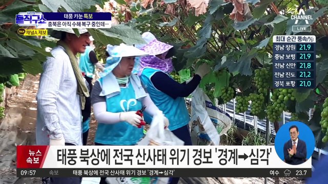 충북, 아직 수해 복구 중인데…내일까지 100~200mm 예보