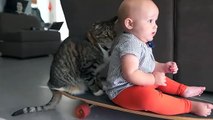 Baby and cat enjoy precious skateboard ride together