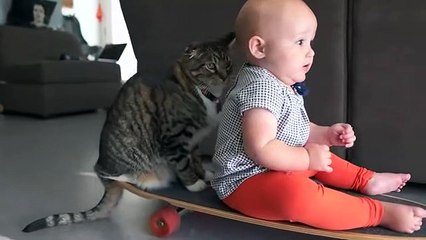 Baby and cat enjoy precious skateboard ride together