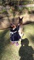 2-year-old cuddles with baby kangaroo