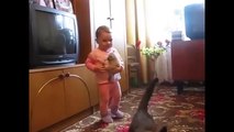 Mother cat snatches crying kitten from toddler