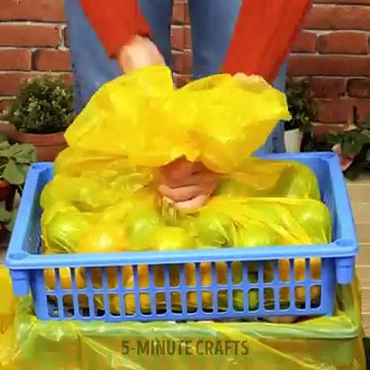 ‍Garden_Hacks_101!_Simple_Tips_to_Unlock_your_Inner_Gardener(360p)