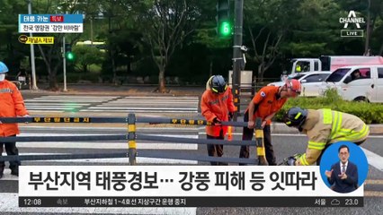 태풍 강도 ‘중’이지만…부산·경남 태풍 피해 속출