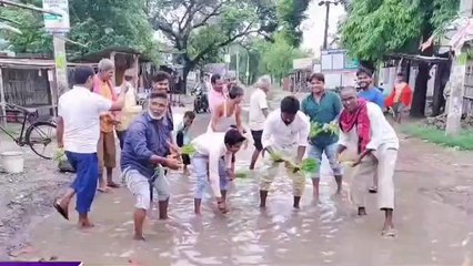 वैशाली: सड़क पर धान की रोपाई, लोगों ने कहा- यहां सड़क और खेत में अंतर नहीं, देखें वीडियो