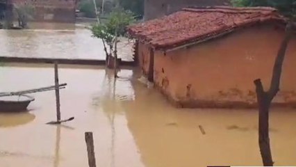 जमुई: मूसलाधार बारिश से दिघरा गांव के घरों में घुसा पानी, इलाका हुआ जलमग्न, देखें वीडियो
