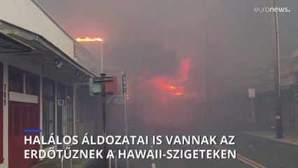 Már legalább 36 halálos áldozata van az erdőtűznek a Hawaii-szigeteken