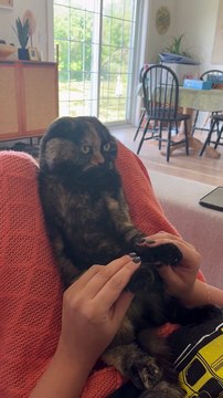 Cat Begrudgingly Participates in Sing Along