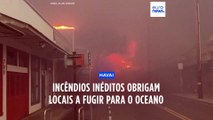 Incêndios sem precedentes no Havai obrigam pessoas a fugir para o oceano