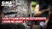 Nasa P14,000 ipon ng estudyante, kinain ng anay! | GMA News Feed